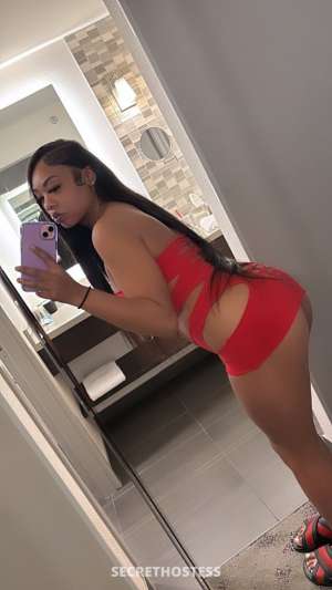 Jasmine 23Yrs Old Escort San Jose CA Image - 0