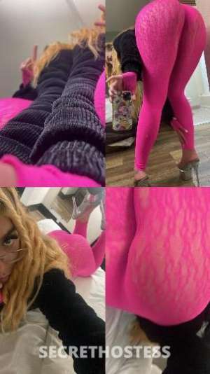 23 year old Escort in San Diego CA ✨back in town cum see me