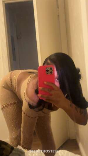 Layla 21Yrs Old Escort San Jose CA Image - 1