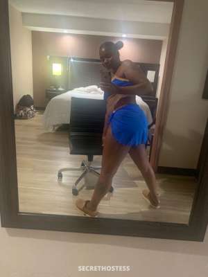 27 year old Escort in Denver CO Looking for guys to get this pussy wet