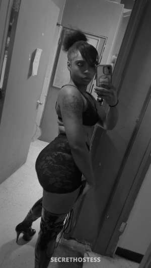 Amiya 27Yrs Old Escort Ogden UT Image - 1