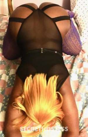 Sasha 30Yrs Old Escort Bronx NY Image - 3