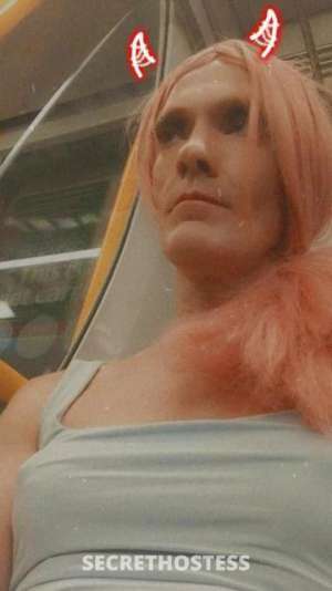 35Yrs Old Escort Maitland Image - 5