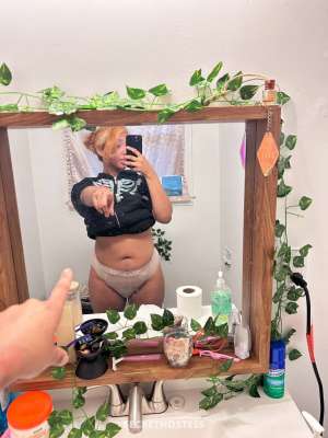 Honey 21Yrs Old Escort Greenville SC Image - 1
