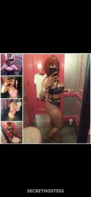 29 year old Escort in Charleston SC Charleston outcall and incall