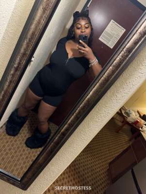 Miami 23Yrs Old Escort Houston TX Image - 1