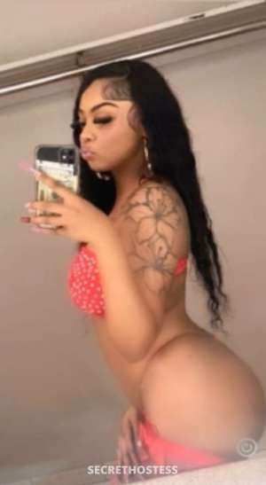 21 year old Puerto Rican Escort in San Fernando Valley CA New Throat Goat In Town Let Me Please You