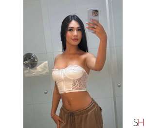 24 year old Latino Escort in Wales MEL MEL - GFE - PARTY GIRL .., Independent
