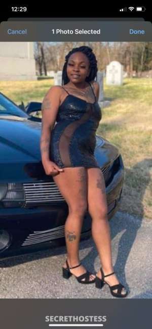 Brea 30Yrs Old Escort Image - 5
