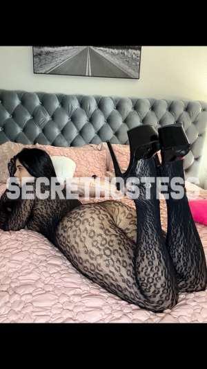 0 year old Hispanic Escort in Houston TX Shannel