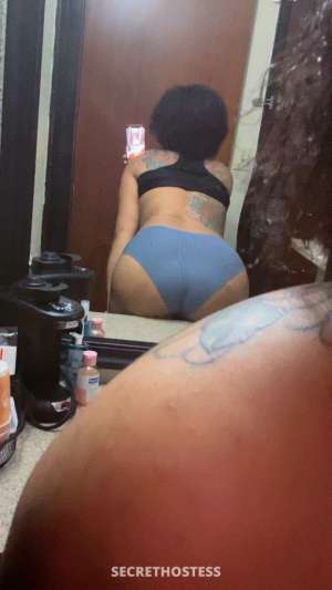 Tiffany 24Yrs Old Escort Monroe MI Image - 4
