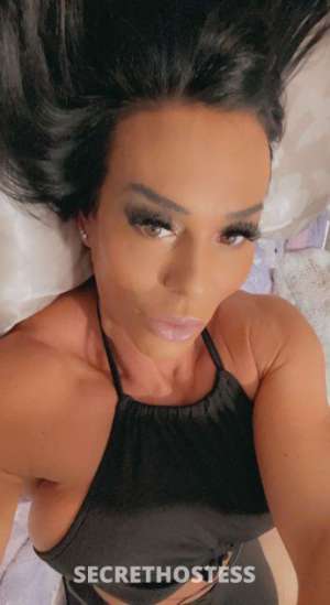 45Yrs Old Escort Tampa FL Image - 6
