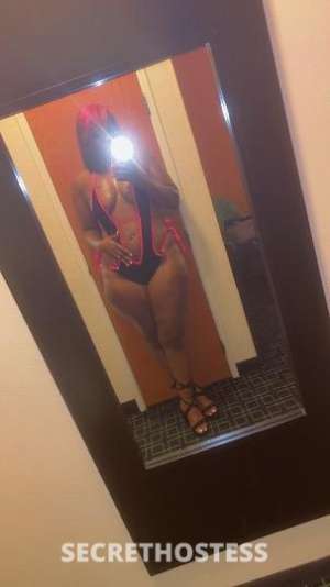 Alicia 24Yrs Old Escort Springfield IL Image - 1
