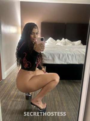 Klassy 19Yrs Old Escort Los Angeles CA Image - 2
