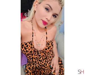 19 year old White Escort in Amazonas 19Yrs Old White Escort Amazonas