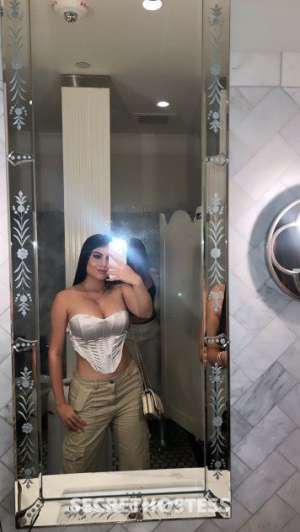 23Yrs Old Escort Sarasota / Bradenton FL Image - 2