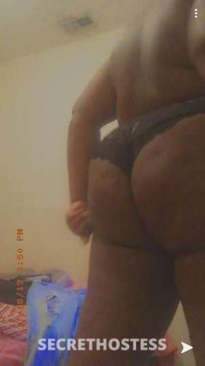 24 year old Escort in Cincinnati OH Ebony nympho