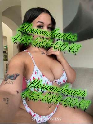 22Yrs Old Escort Albuquerque NM Image - 4