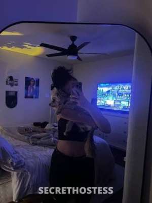 Stephanie 26Yrs Old Escort Detroit MI Image - 3