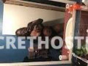 90 year old Escort in Chesapeake VA Thick, Pretty, and Curvy