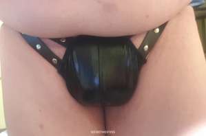 48Yrs Old Escort 176CM Tall Cairo Image - 2