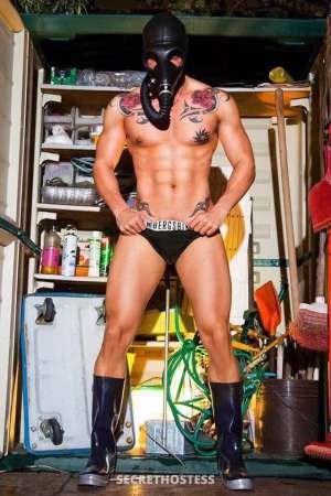 Allan 27Yrs Old Escort 185CM Tall Killarney Image - 14