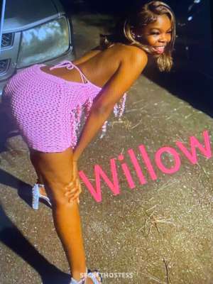AnnaMarie 27Yrs Old Escort Jackson MS Image - 1
