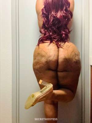 28Yrs Old Escort Detroit MI Image - 5