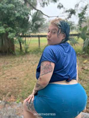 34Yrs Old Escort Tampa FL Image - 2