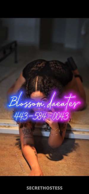 23 year old Escort in Taos NM Blossoms Touch 💆♂💕🌸multiple massage specials