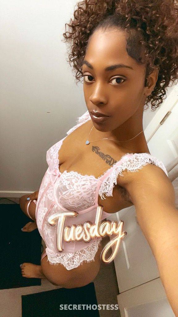 Mz.Wauve🌊🫧🕷️ 20Yrs Old Escort Rockford IL Image - 0