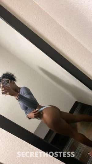 BARBIE 23Yrs Old Escort Detroit MI Image - 11