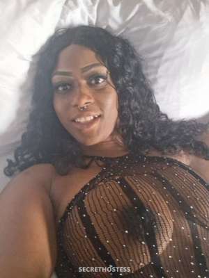 26 year old Escort in Huntsville AL New In town 😋Cum get Mizz Wett Wett now babe