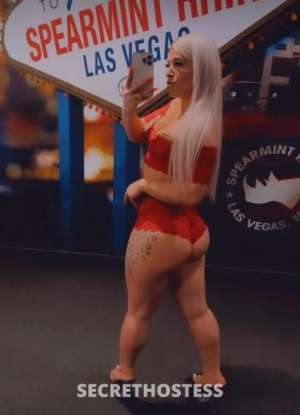 Holly 27Yrs Old Escort Washington DC Image - 9