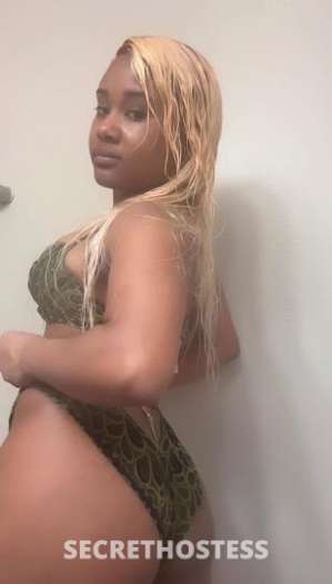 25 year old Escort in Los Angeles CA Here for a good time not long