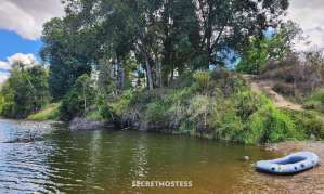 40 year old Escort in Sunshine Coast Welcoming FREE Blowjob Practice for the intrigued&amp;