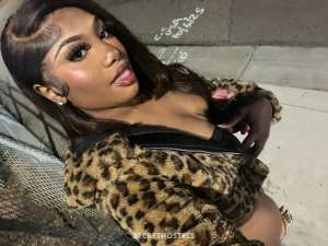 22Yrs Old Escort Stockton CA Image - 3