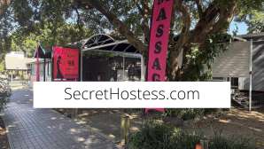 0 year old Escort in Hamilton Eyra98Newmarket