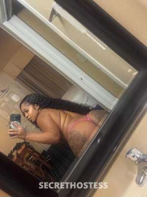 KashhRosee 25Yrs Old Escort Image - 1