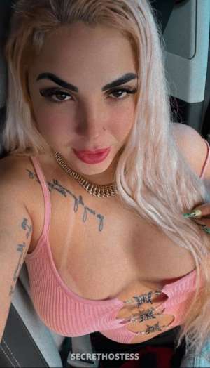 Lulu 25Yrs Old Escort Miami FL Image - 6