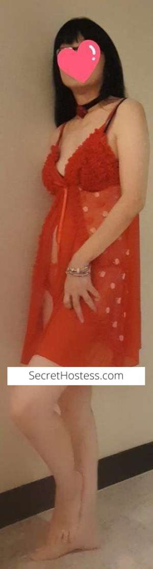 26Yrs Old Escort Size 6 Gold Coast Image - 5
