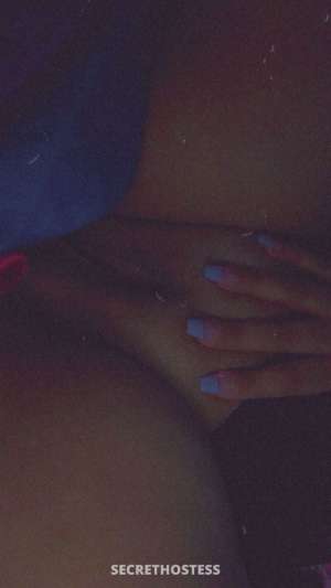 Coco 25Yrs Old Escort Springfield MA Image - 1