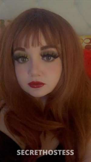 Daphne 26Yrs Old Escort Image - 7