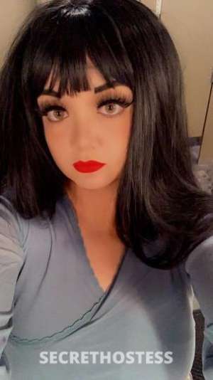 Daphne 26Yrs Old Escort Image - 11