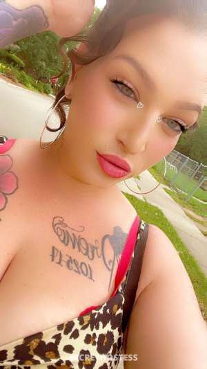 Fatima 30Yrs Old Escort Detroit MI Image - 4