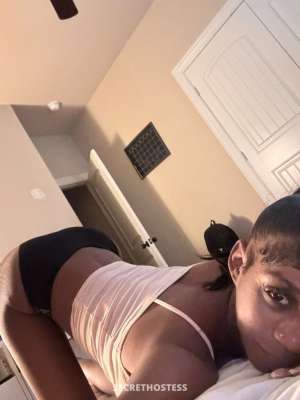 22Yrs Old Escort Dallas TX Image - 4