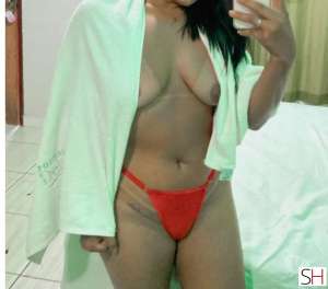 27 year old White Escort in Balsas Maranhao 27Yrs Old White Escort Maranhao