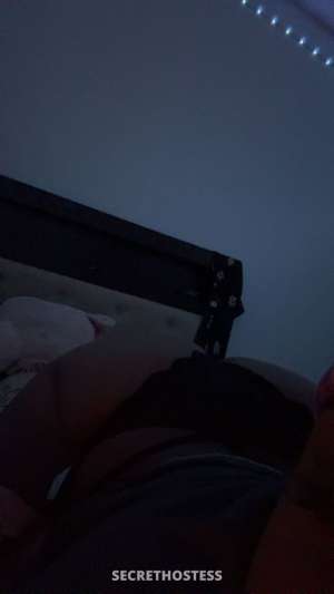 26 year old Escort in Tampa FL a girl that enjoys a good time