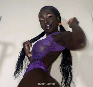 23 year old Escort in Mississauga real and 100 independent! ! lets party !!! visiting