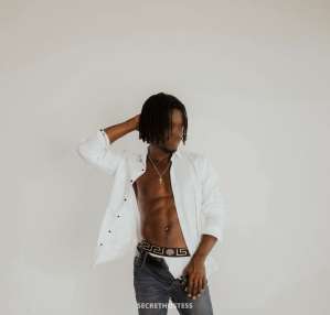 24 year old Escort in Cape Town William, Male escort